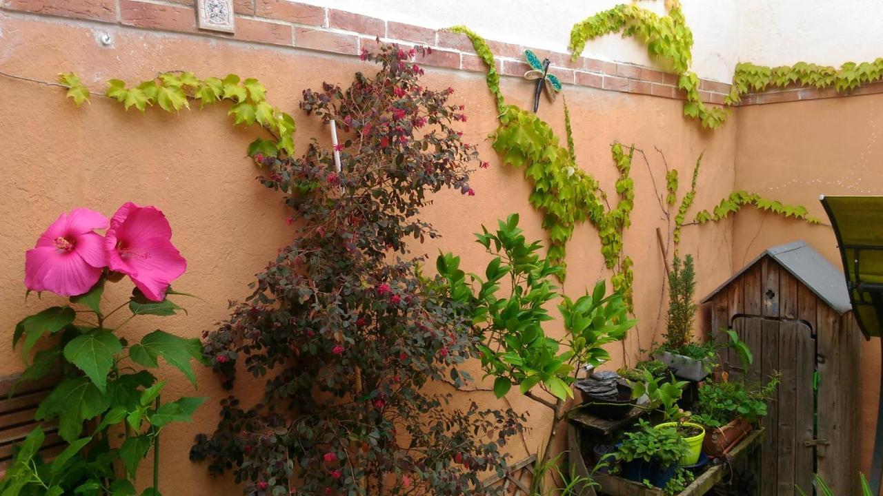 Autan Des Couleurs Bed & Breakfast Albi Ngoại thất bức ảnh